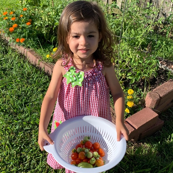 Strawberry 🍓 Dress Size 4T Girls Summer - Picture 3 of 4